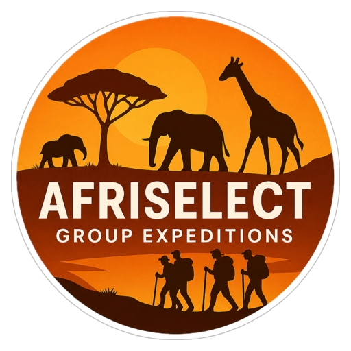 Afriselect Logo