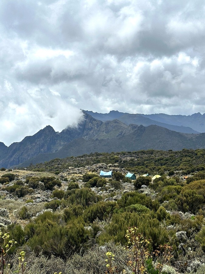 Kilimanjaro