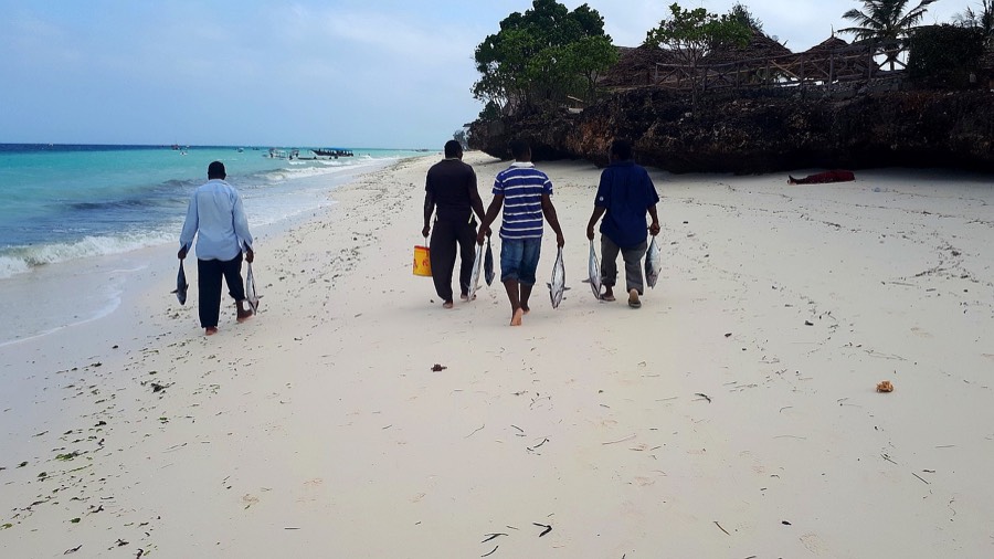 Zanzibar